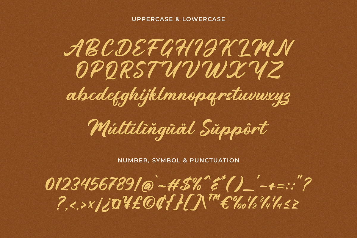 Kellyna Modern Script, a Font by Haps Space (Photo 4 of 8)