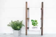Watercolor Herb Set with text, an Illustration by DailyMiracleDigitals,LLC (Thumbnail 2 of 5)
