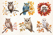 Autumn Owl Clipart Sublimation, an Illustration by Dream Creation (Thumbnail 6 of 6)