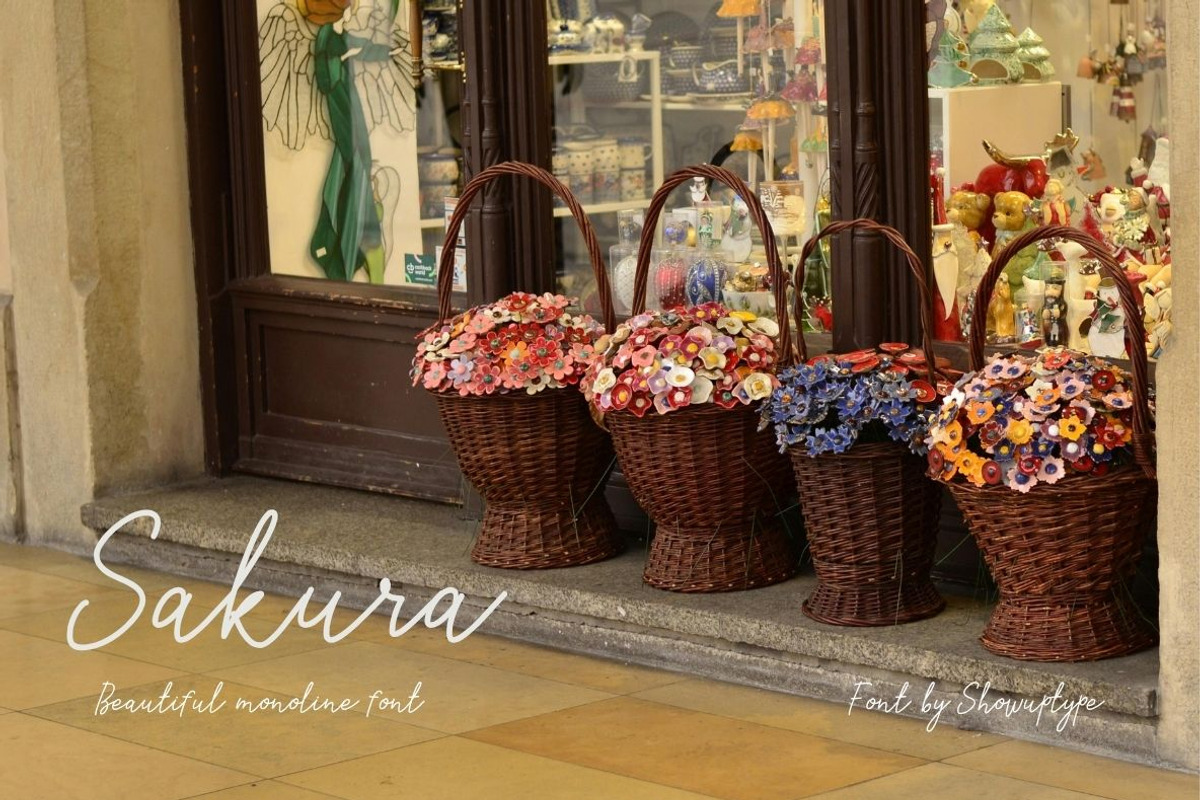 Sakura Font Set, a Script Font by ShowUp! Studio (Photo 3 of 8)