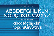 Ertonia Slab Serif Font, a Slab Serif Font by Artiveko (Thumbnail 6 of 7)