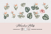 50% OFF! Tropical  jungle, a Pattern Graphic by Kotkoa (Thumbnail 7 of 11)