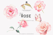 Watercolor June Flower Clipart Set, a Decorative Illustration by Patishop Art (Thumbnail 5 of 10)