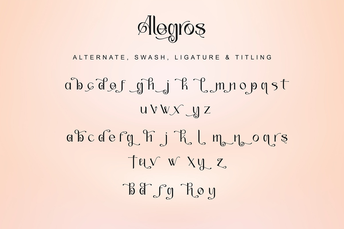 Alegros, a Serif Font by Letterara (Photo 10 of 11)