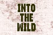 Iron Prairie - Strong Display Font, a Sans Serif Font by KiddoGlyphs Studio (Thumbnail 4 of 6)