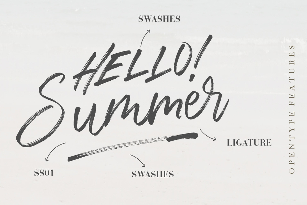The Brands Quest Signature Brush, a Script Font by Creatype Studio (Photo 4 of 9)