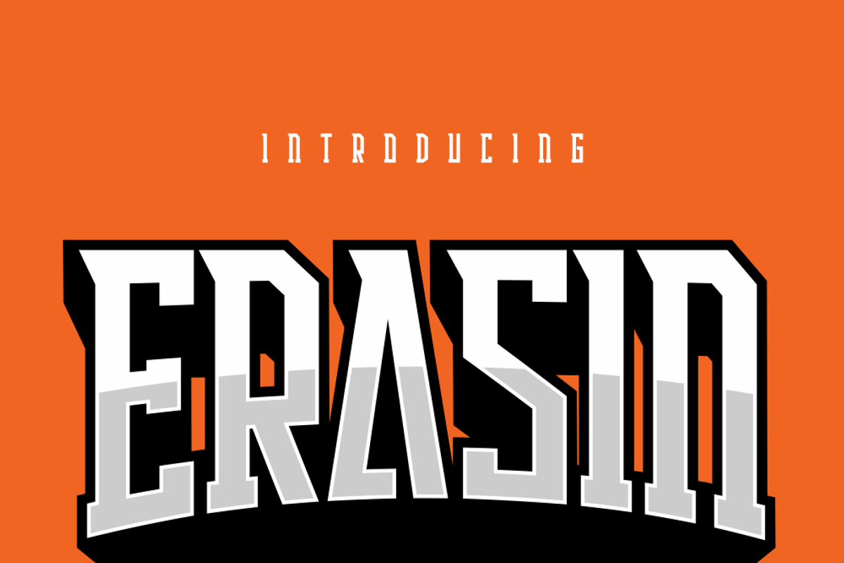 Erasin, a Serif Font by lelevien (Photo 4 of 6)