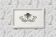 Mavra. Watercolor graphic set, a Decorative Illustration by Bibela (Thumbnail 12 of 14)