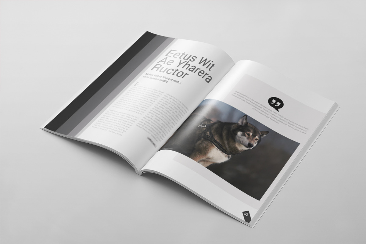 Magazine Template 50, a Magazine Template by pmvch (Photo 3 of 22)