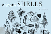 Ocean Symphony vintage design set, an Object Graphic by Beauty Drops (Thumbnail 9 of 13)