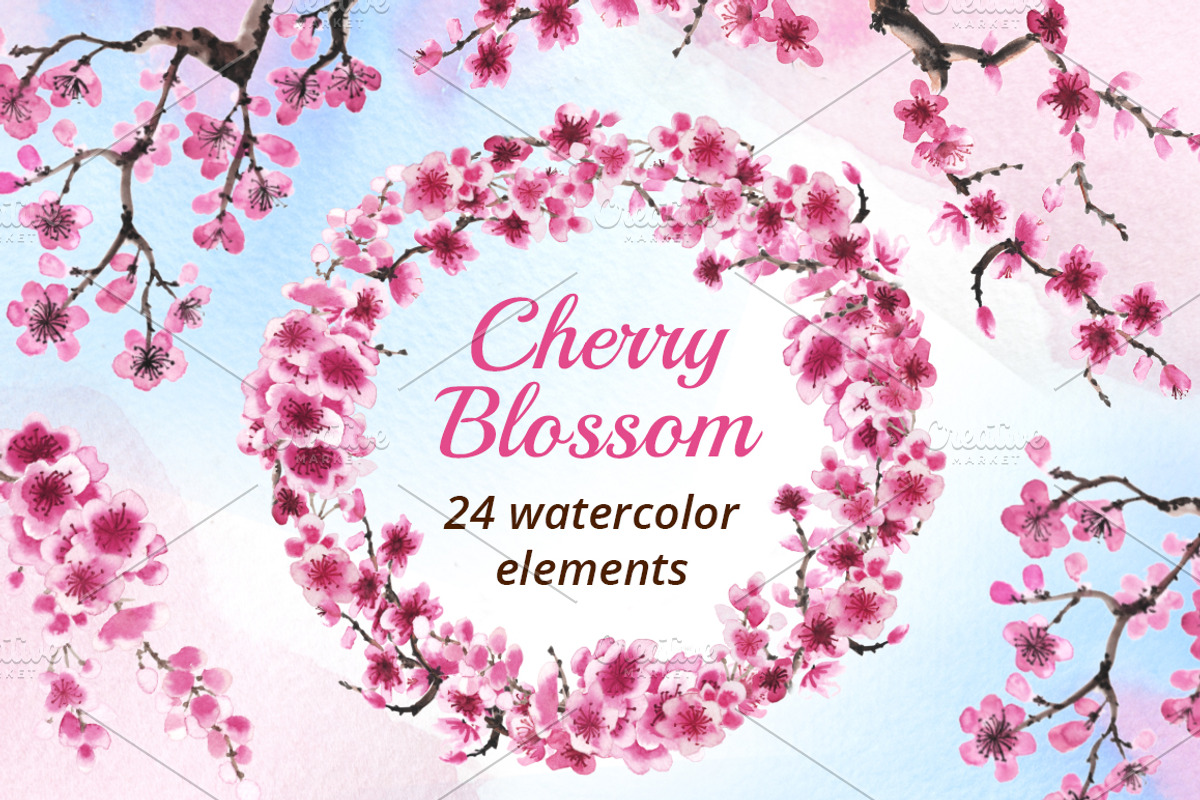 Cherry Blossom Watercolor Collection, a Decorative Illustration by Sveta Aho (Photo 1 of 6)