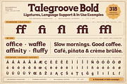 Talegroove Bold – Retro Serif Font, a Serif Font by Designertale (Thumbnail 10 of 10)