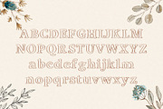 Viktoria - Outline Serif Typeface, a Serif Font by HipFonts (Thumbnail 2 of 9)