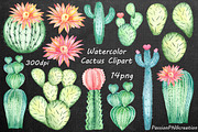 Watercolor Cactus Clipart, an Illustration by PassionPNGcreation (Thumbnail 2 of 3)