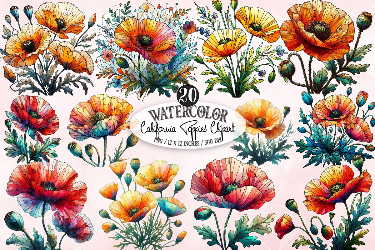 Watercolor California Poppies Clipar, an Illustration by Designking (Photo 1 of 4)
