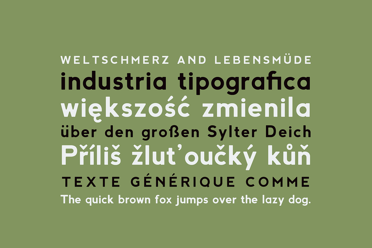Abside Font (Modern & Geometric), a Sans Serif Font by Hederae Type Foundry (Photo 7 of 8)