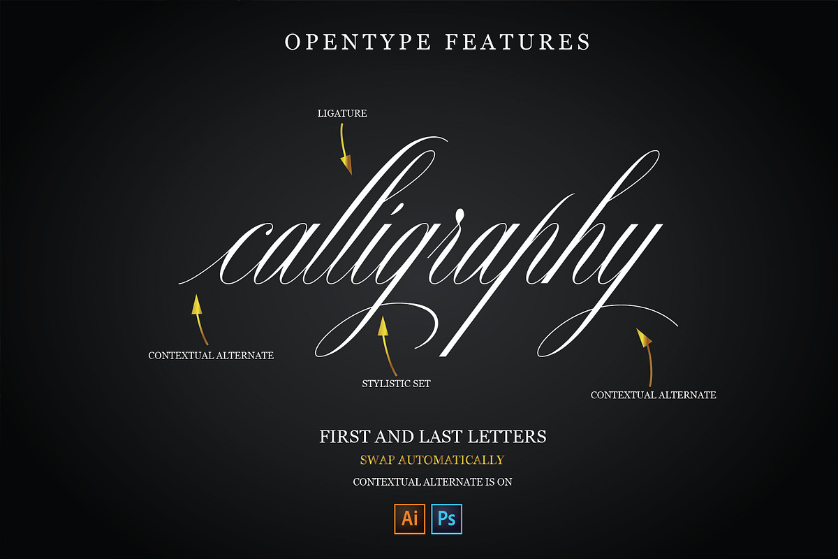 Nightingale, a Script Font by Teweka (Photo 3 of 10)