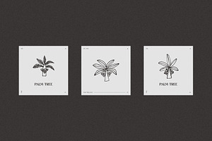 Hand Drawn Palm Tree Logotypes