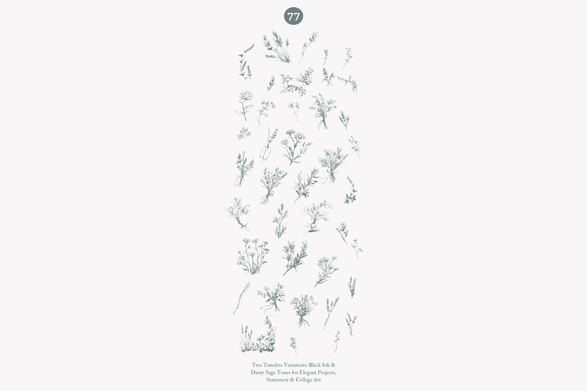 apothecary clipart vintage collectio, a Decorative Illustration by Patishop Art (Photo 8 of 10)