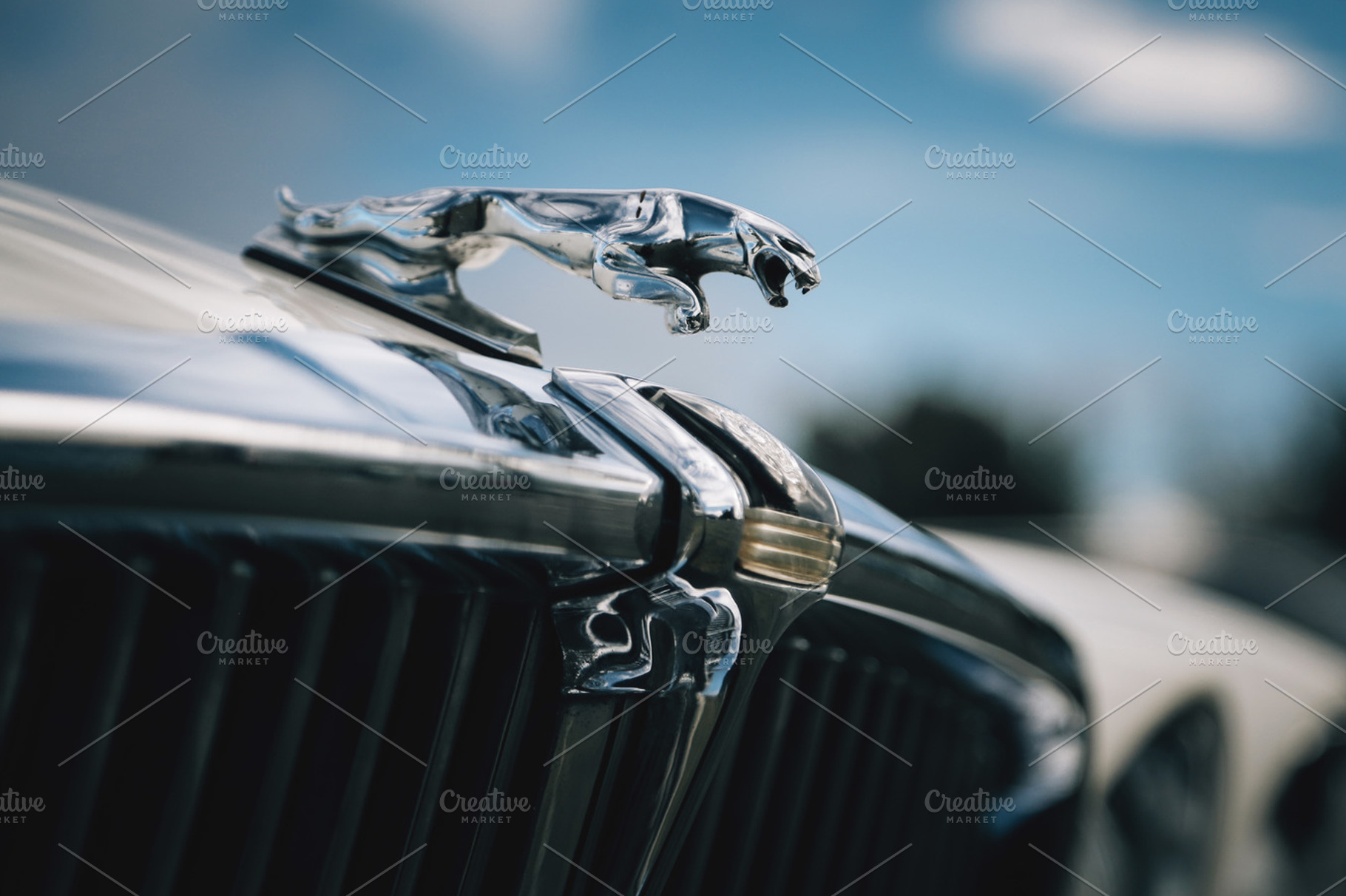 Jaguar Hood Ornament, a Transportation Photo by Dæmon Ex Machina
