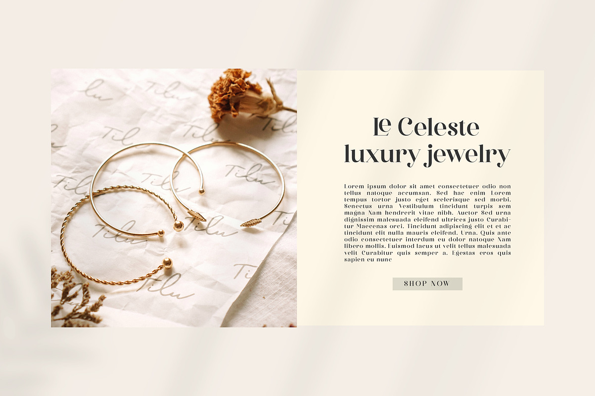 The Pablo Meganta Font Duo Typeface, a Serif Font by Storytype Studio (Photo 4 of 12)