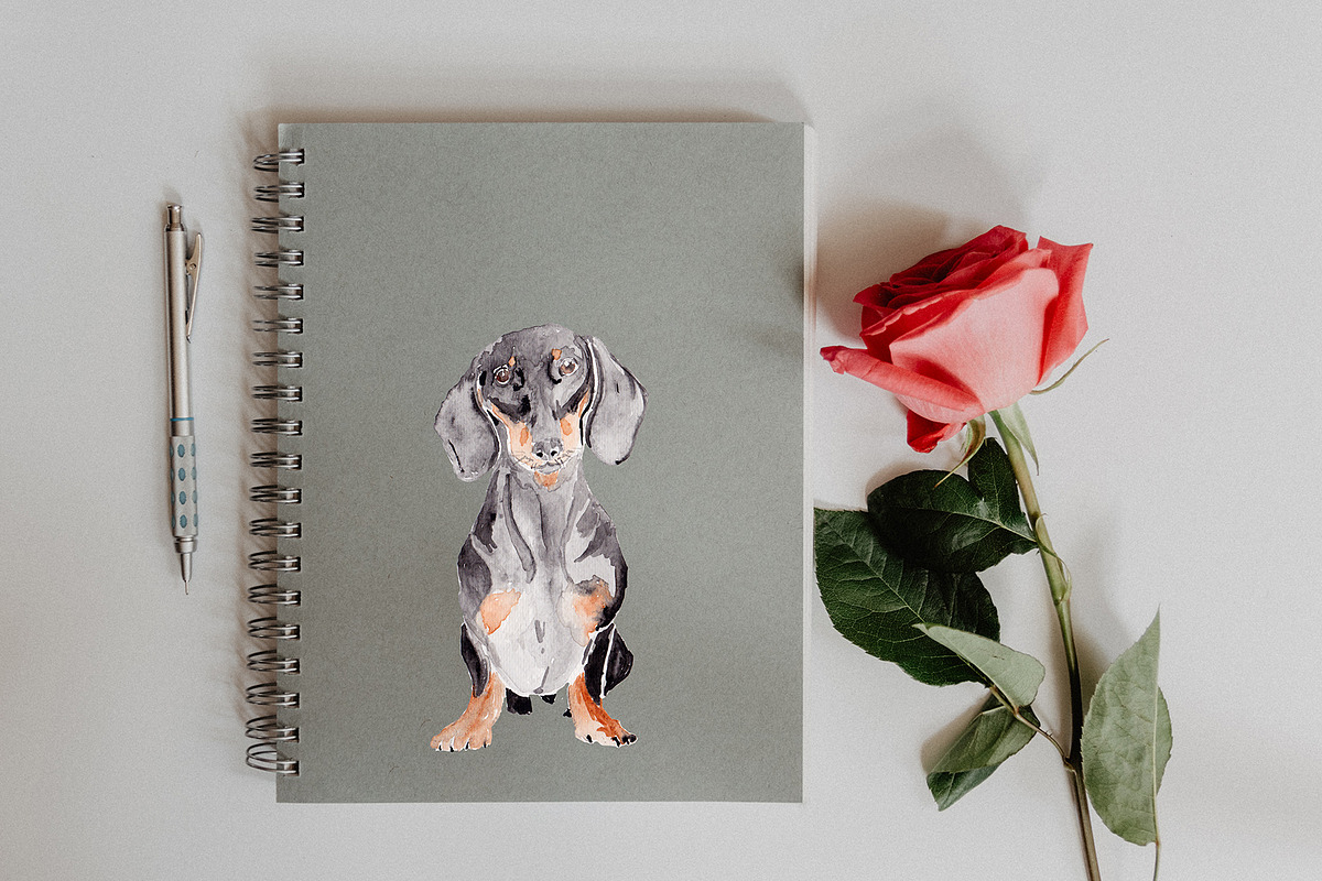 Dachshund Dog Illustration, an Illustration by Foxery Digital (Photo 5 of 5)