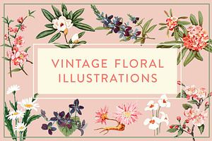 Vintage Floral Illustrations