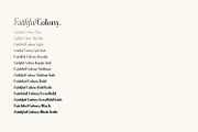 Faithful Colony - Elegant Serif, a Serif Font by creativemedialab (Thumbnail 11 of 13)