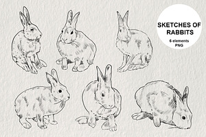 Pencil sketches of rabbit PNG, an Animal Illustration by LOKSKIH