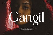 Gangil Modern Serif Font