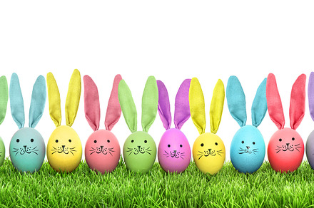 Easter eggs funny bunny decoration, a Holiday Photo by LiliGraphie