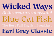 Olin, a Serif Font by Sudtipos (Thumbnail 5 of 7)