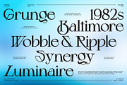 Schiller - Contemporary Serif, a Serif Font by Any-Type® Foundry (Thumbnail 2 of 13)