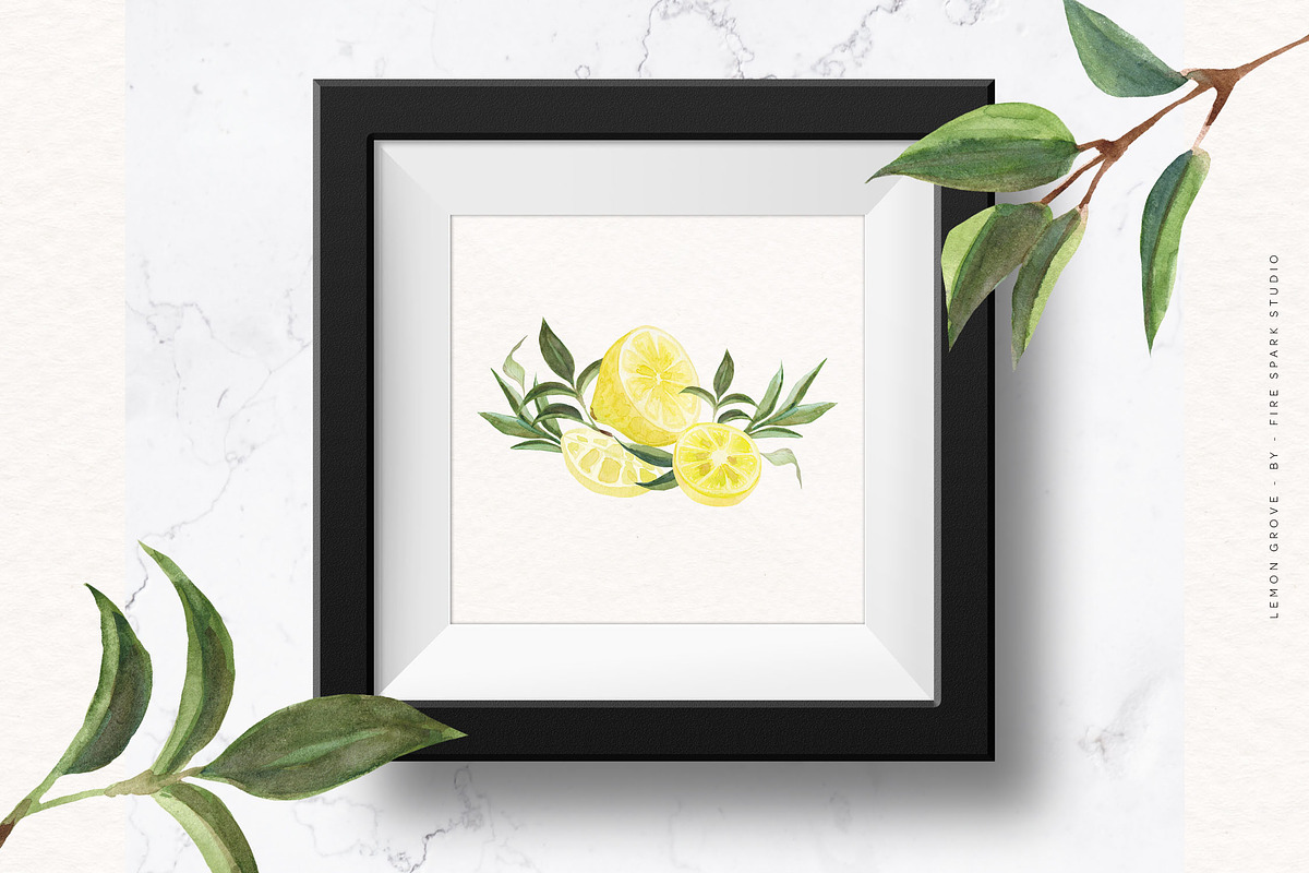 Lemon Grove Watercolor Illustrations, an Illustration by Fire Spark Studio (Photo 8 of 8)