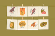 Flora Bundle, an Animal Illustration by Annie Konst (Thumbnail 5 of 19)