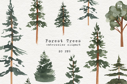 Watercolor Forest Trees Clipart, an Education Illustration by Ooh Lily