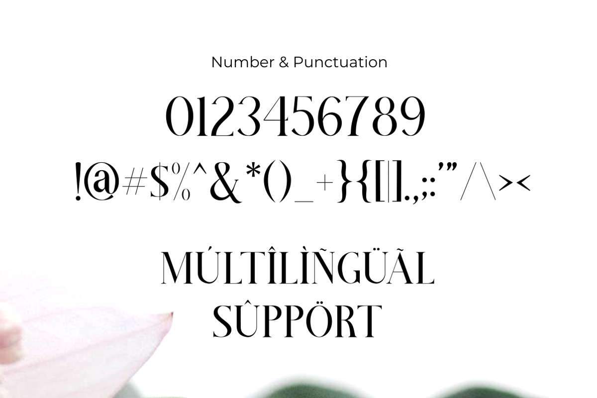 La Femina, a Serif Font by saemoon creative (Photo 6 of 6)