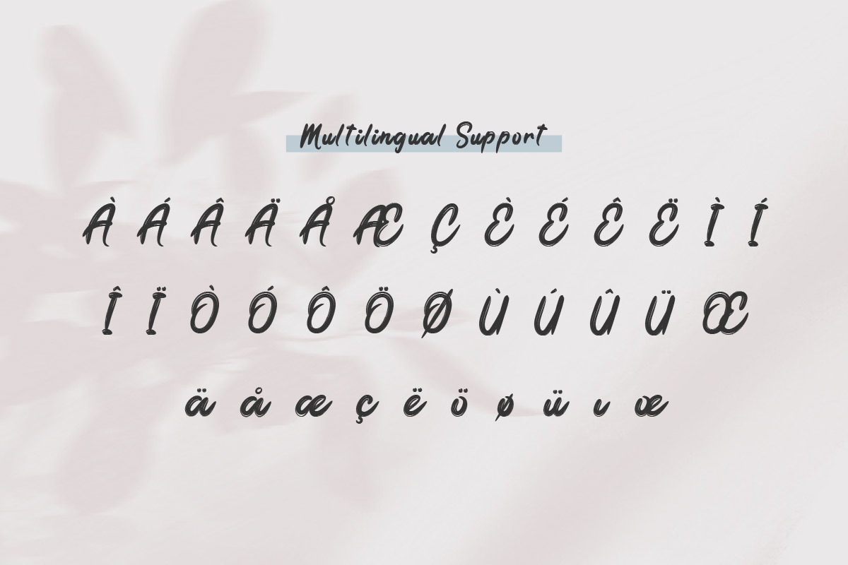 the Brodolly - Brush Handwritten Fon, a Handwritten Font by productype1 (Photo 8 of 8)