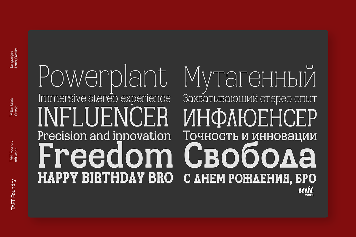 TA Bankslab, a Slab Serif Font by TAFT Foundry (Photo 3 of 20)