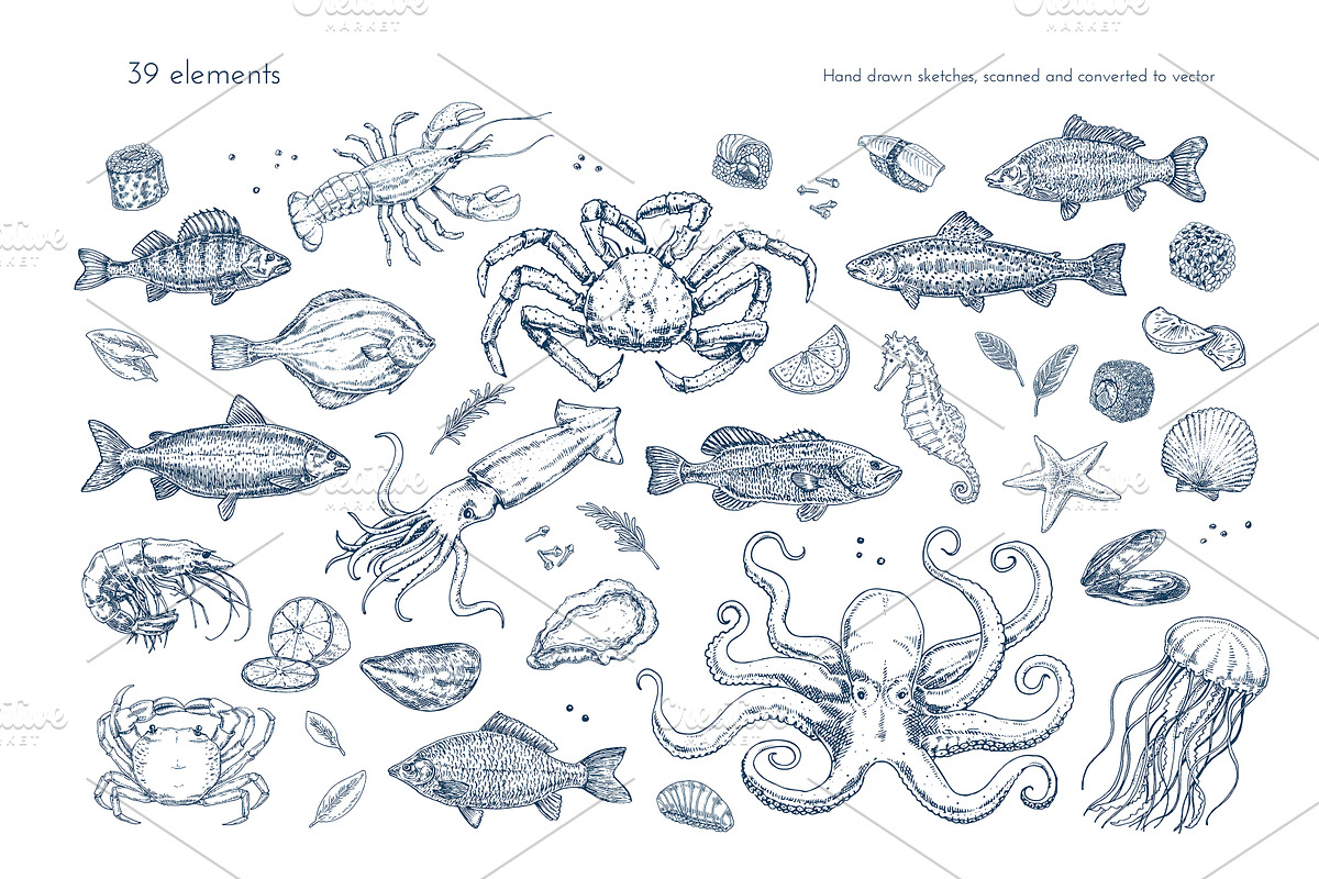 Hand drawn illustrations of sea food, an Illustration by Evgeniia Lanskikh (Photo 2 of 5)