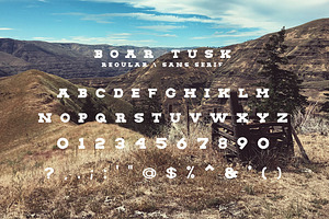 The Vintage Slab Font Collection