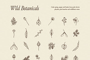 FOREST TREASURES illustrations, a Seasonal Illustration by Crocus Paperi (Thumbnail 4 of 8)