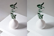 Fuji Pro 160NS — Lightroom, a Preset Add-On by colorituals (Thumbnail 6 of 8)