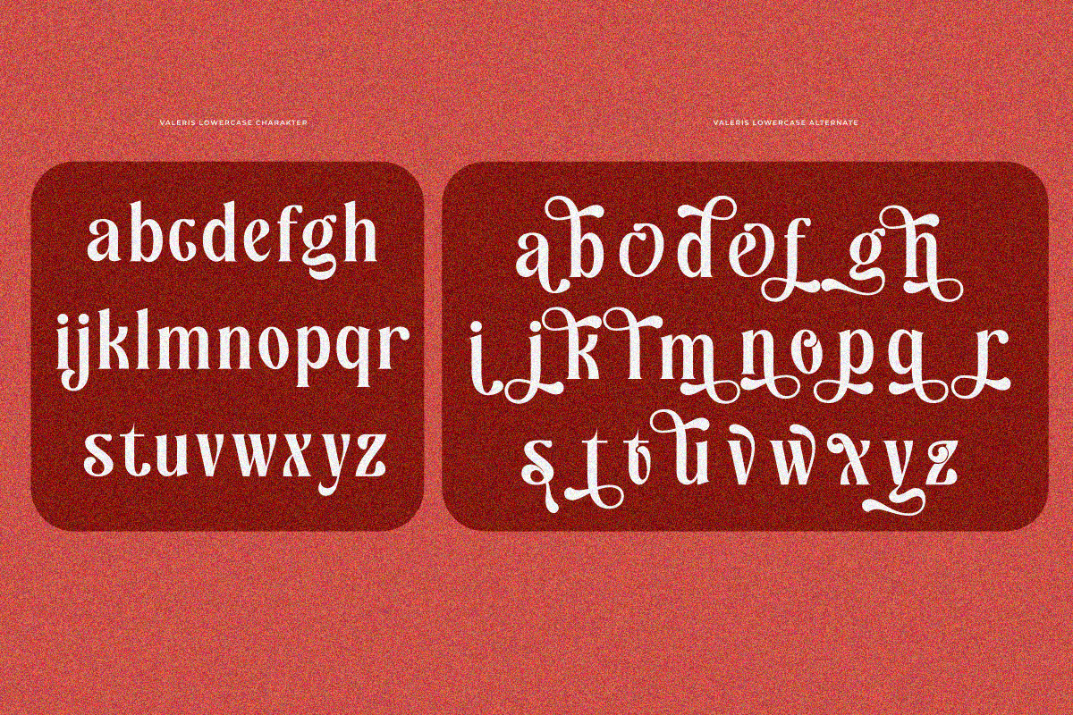 Valeris, a Serif Font by zaaintype (Photo 8 of 11)