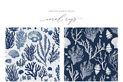 New! Summer + Fall Edition Bundle, a Seasonal Illustration by Isabelle Salem (Thumbnail 205 of 272)