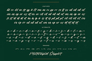 Radiate Yethina Modern Script Font, a Script Font by stylishtype.co (Thumbnail 18 of 20)