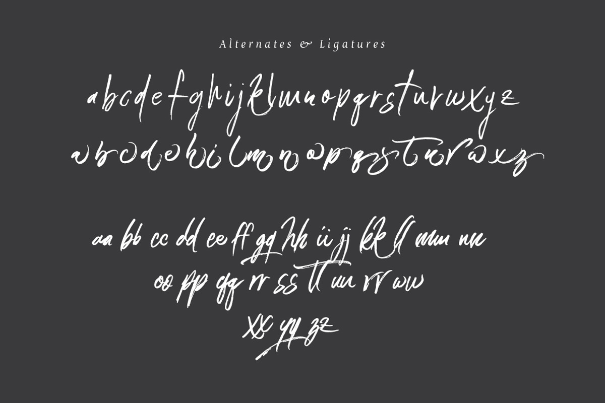 Connoisseurs Typeface preview 7