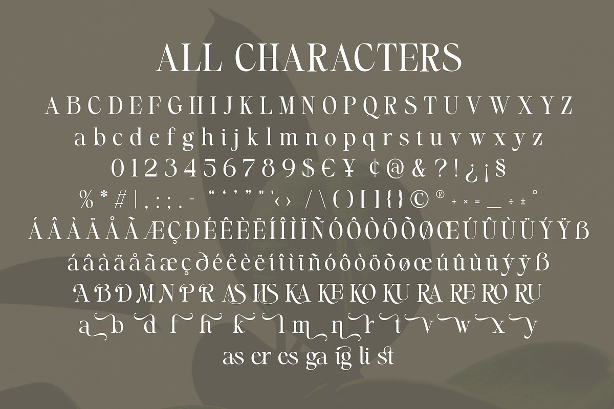 Astrel Madesly - Artistic Serif Font, a Serif Font by Variatype (Photo 10 of 10)