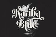 Loubrisa - Playful Branding Fonts, a Serif Font by creativemedialab (Thumbnail 10 of 13)