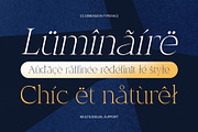 CS Dimension – Elegant Font, a Serif Font by Craft Supply Co. (Thumbnail 6 of 8)
